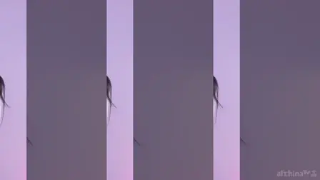 AfreecaTV汉漾(BJ하냥이)2025年7月19日舞蹈剪辑163832